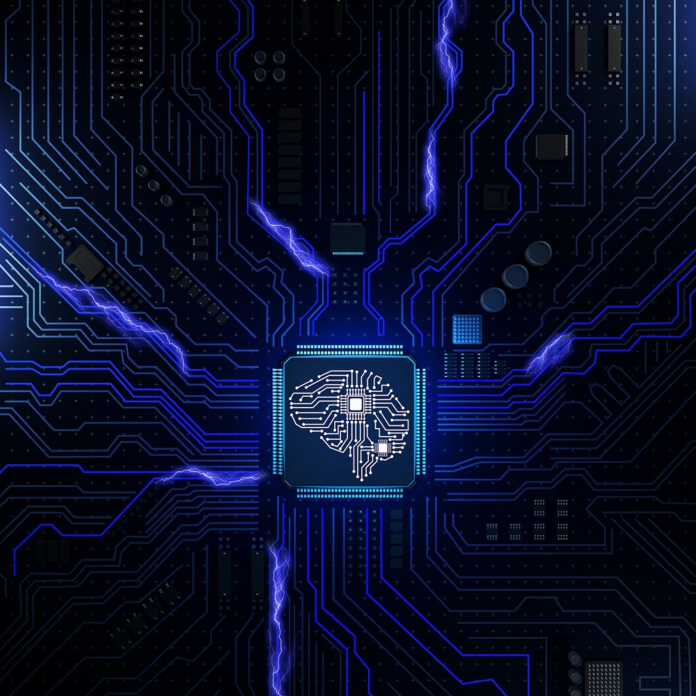 Computer circuit board socket in the form of the human brain